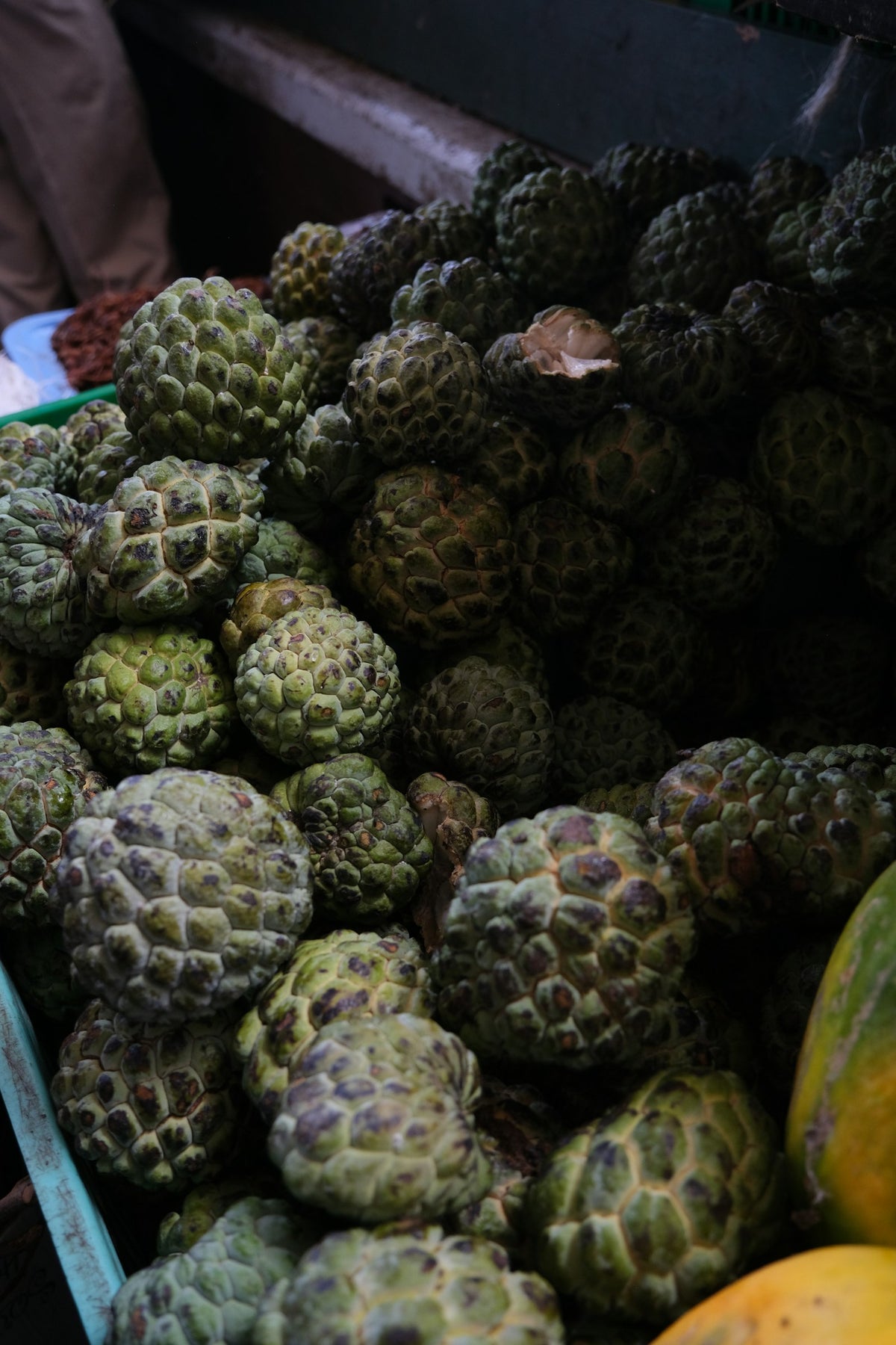 Fruits de cherimoya, extrait d'anone à effet CBD-like Image