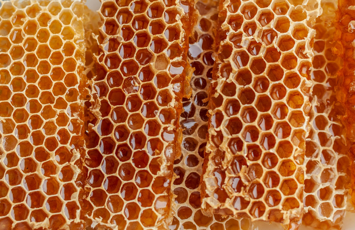 Rayons de miel, Black BeeOme, actif issu de fermentation de miel Image
