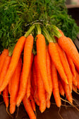 Botte de carottes, extrait de carotte riche en bêta-carotène