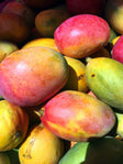 Mangues, extrait riche en vitamines et anti-oxydants